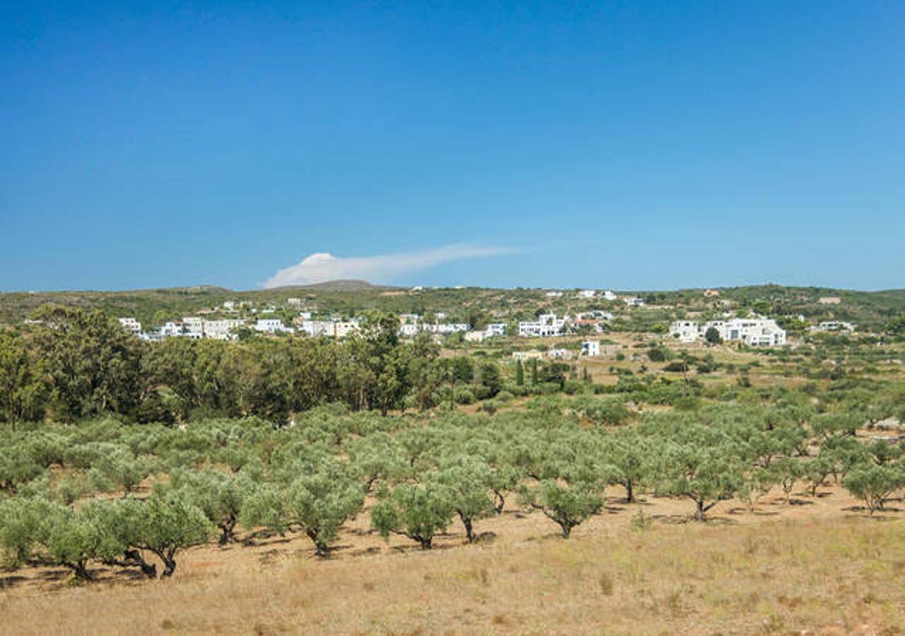 Contaratos Holiday Lettings Livadi  Exterior foto